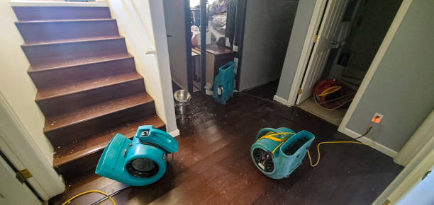 Best Carpet water damage restoration  in Velva, ND