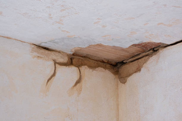 Best Flood damage cleanup  in Velva, ND