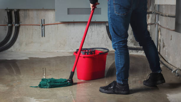 Best Carpet water damage restoration  in Velva, ND