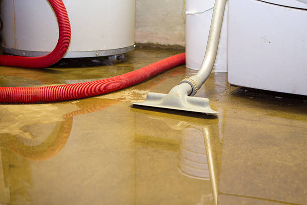 Best Fire Damage Restoration  in Velva, ND