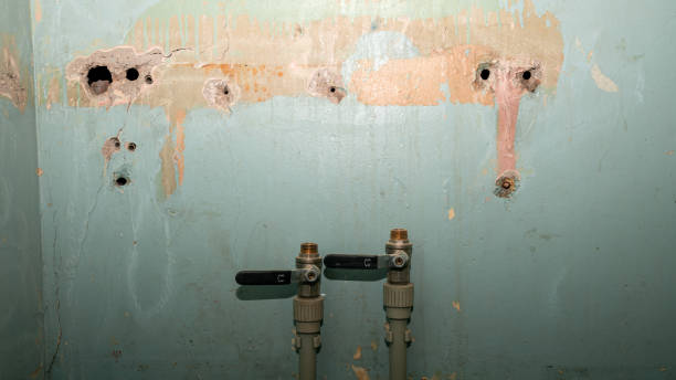 Best Flood restoration services  in Velva, ND