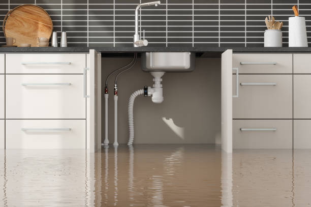 Best Water damage cleanup near me  in Velva, ND