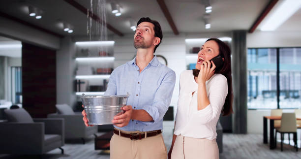 Best Commercial water damage restoration  in Velva, ND