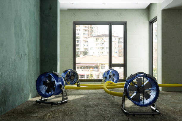 Best Water damage restoration cost  in Velva, ND