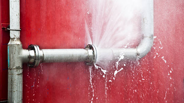 Best Ceiling water damage repair  in Velva, ND
