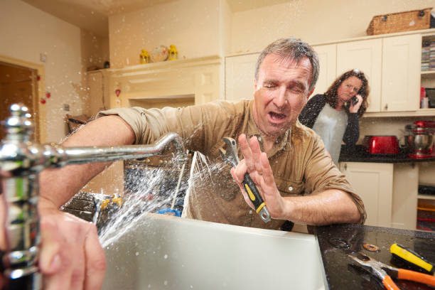 Best Sewage cleanup and water damage restoration  in Velva, ND